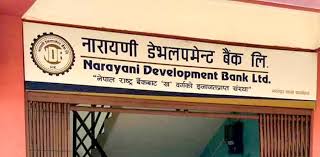 १०० रुपैयाँमै नारायणी डेभलपमेन्ट बैंकको सेयर: सर्वसाधारणका लागि लिलामी खुला